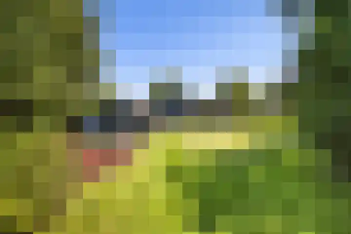 Heveringseweg 64 Oostvoorne thumbnail 4