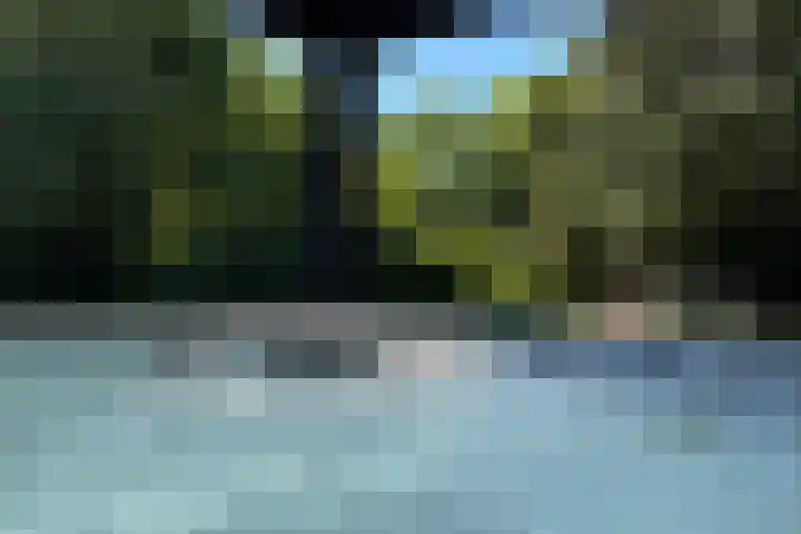 Heveringseweg 64 Oostvoorne thumbnail 47