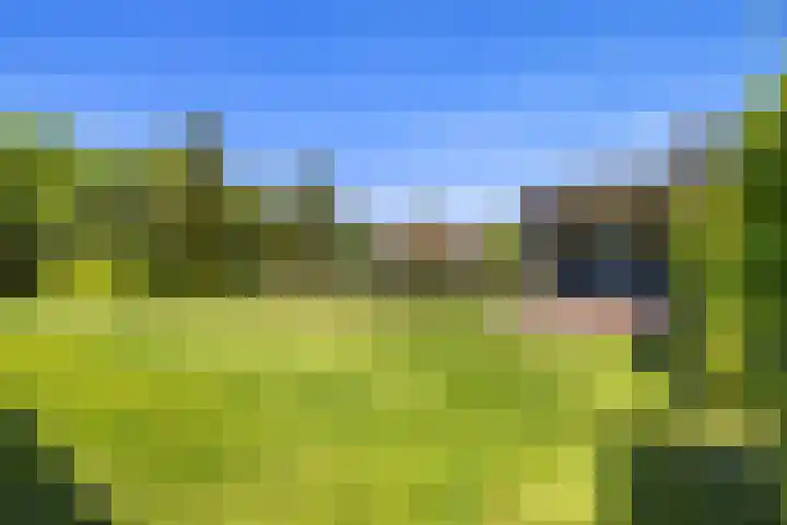 Heveringseweg 64 Oostvoorne thumbnail 48