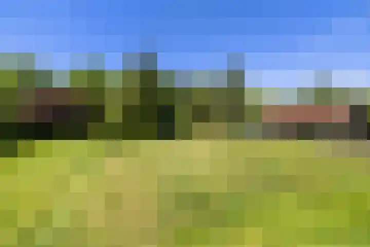 Heveringseweg 64 Oostvoorne thumbnail 49