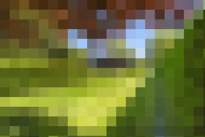 Heveringseweg 64 Oostvoorne thumbnail 50