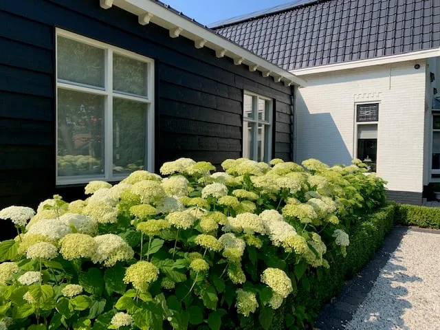 Heveringseweg 64 Oostvoorne thumbnail 52