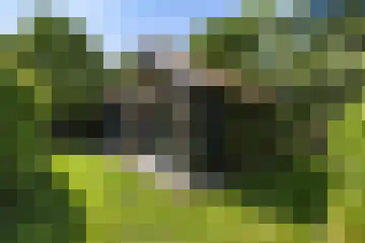 Heveringseweg 64 Oostvoorne thumbnail 53