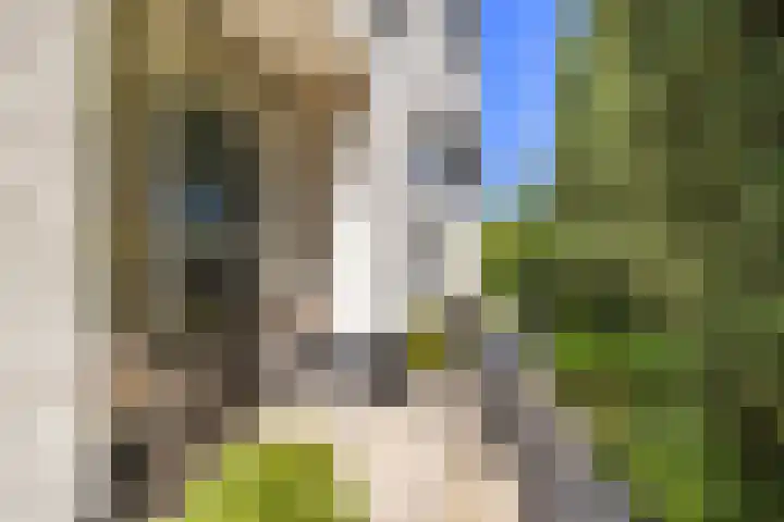 Heveringseweg 64 Oostvoorne thumbnail 6
