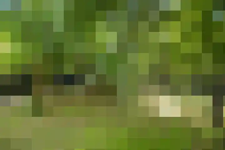 Heveringseweg 64 Oostvoorne thumbnail 66