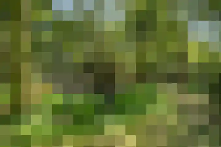 Heveringseweg 64 Oostvoorne thumbnail 67