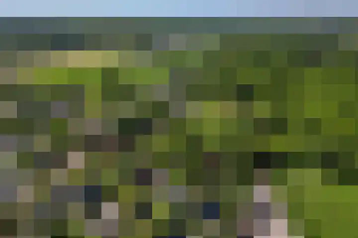 Heveringseweg 64 Oostvoorne thumbnail 68