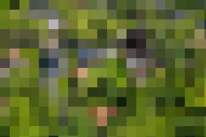 Heveringseweg 64 Oostvoorne thumbnail 69