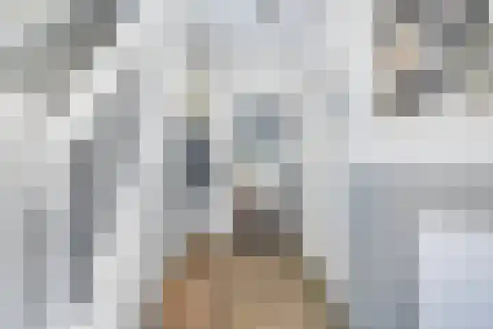 Heveringseweg 64 Oostvoorne thumbnail 7