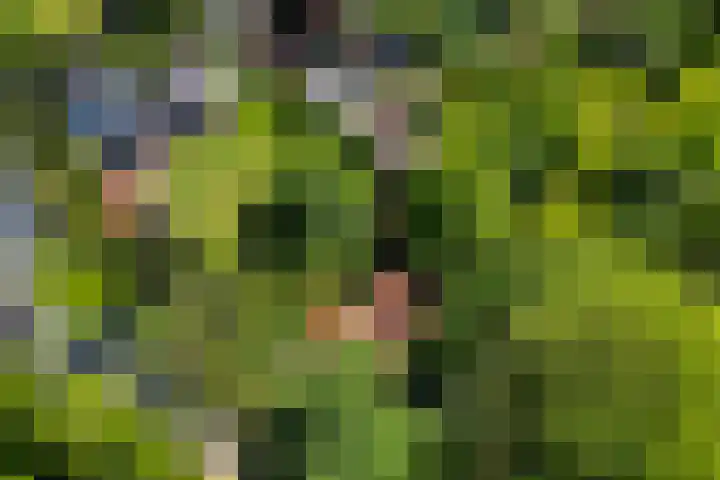 Heveringseweg 64 Oostvoorne thumbnail 70