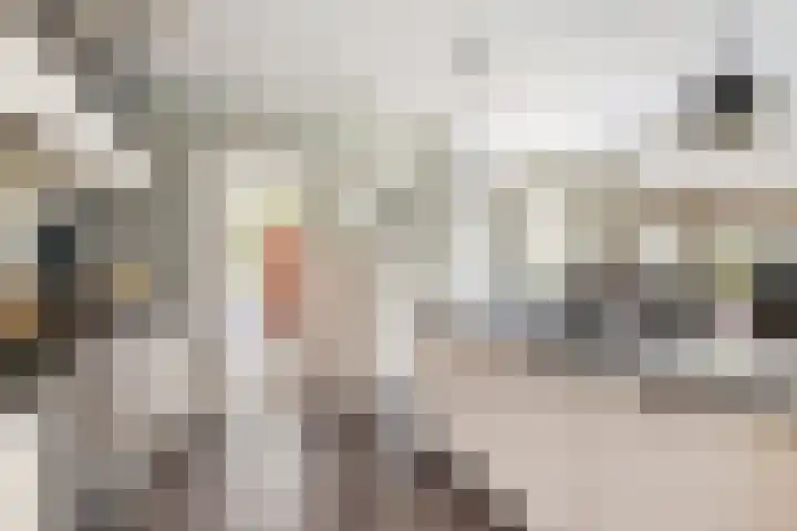 Heveringseweg 64 Oostvoorne thumbnail 8