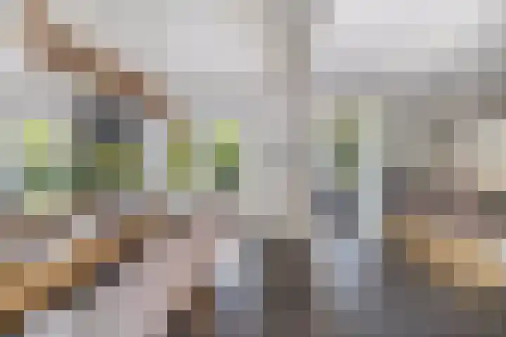Heveringseweg 64 Oostvoorne thumbnail 9