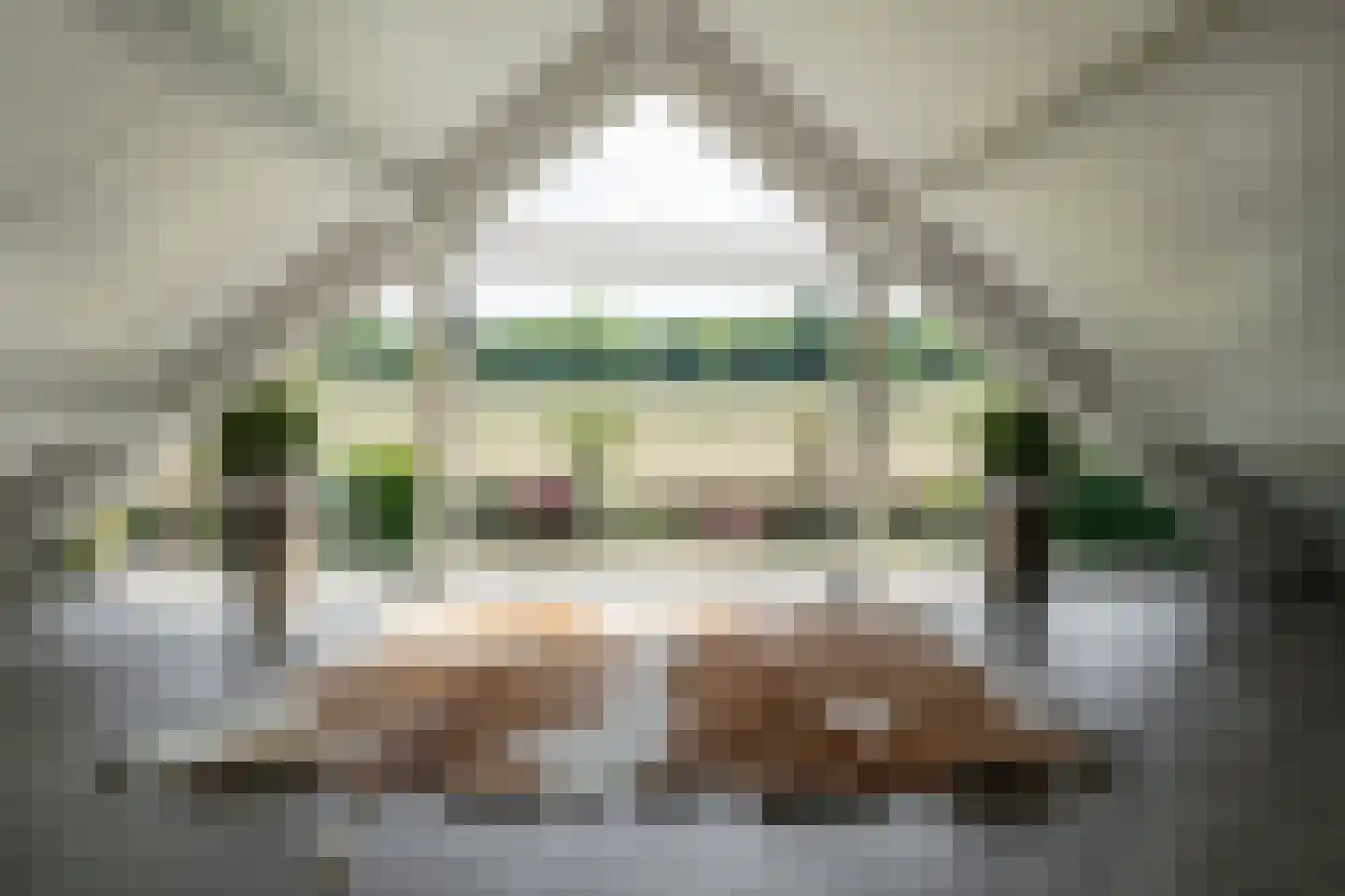Hexelerweg 38 Nijverdal thumbnail 31