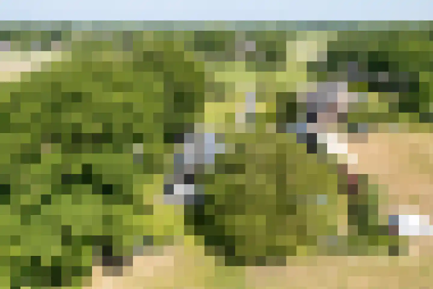 Hexelerweg 38 Nijverdal thumbnail 45