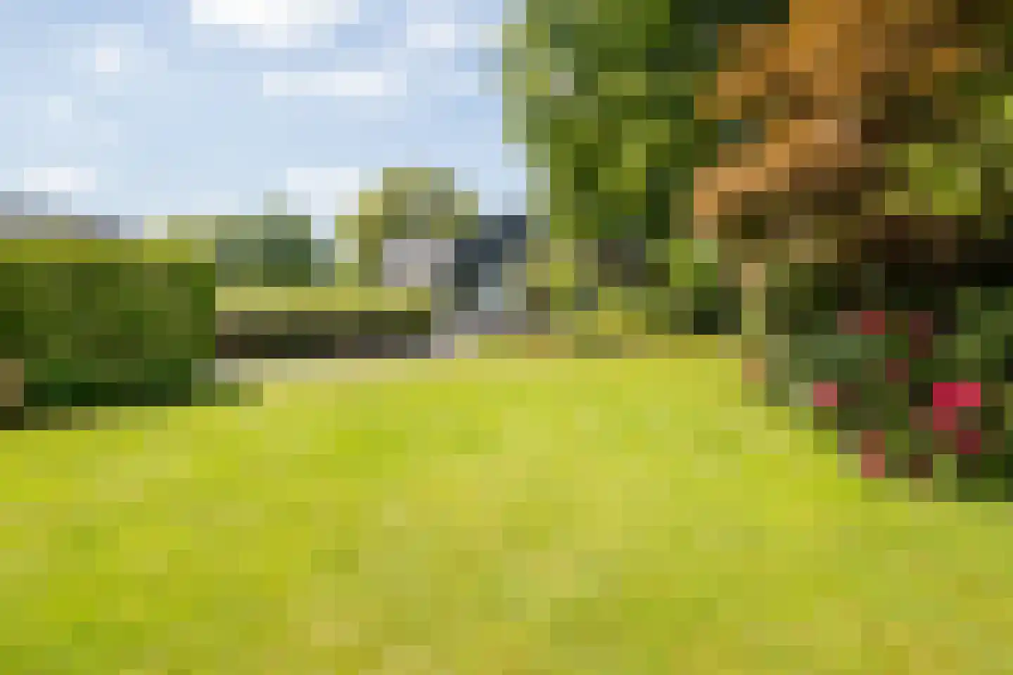 Hexelerweg 38 Nijverdal thumbnail 51