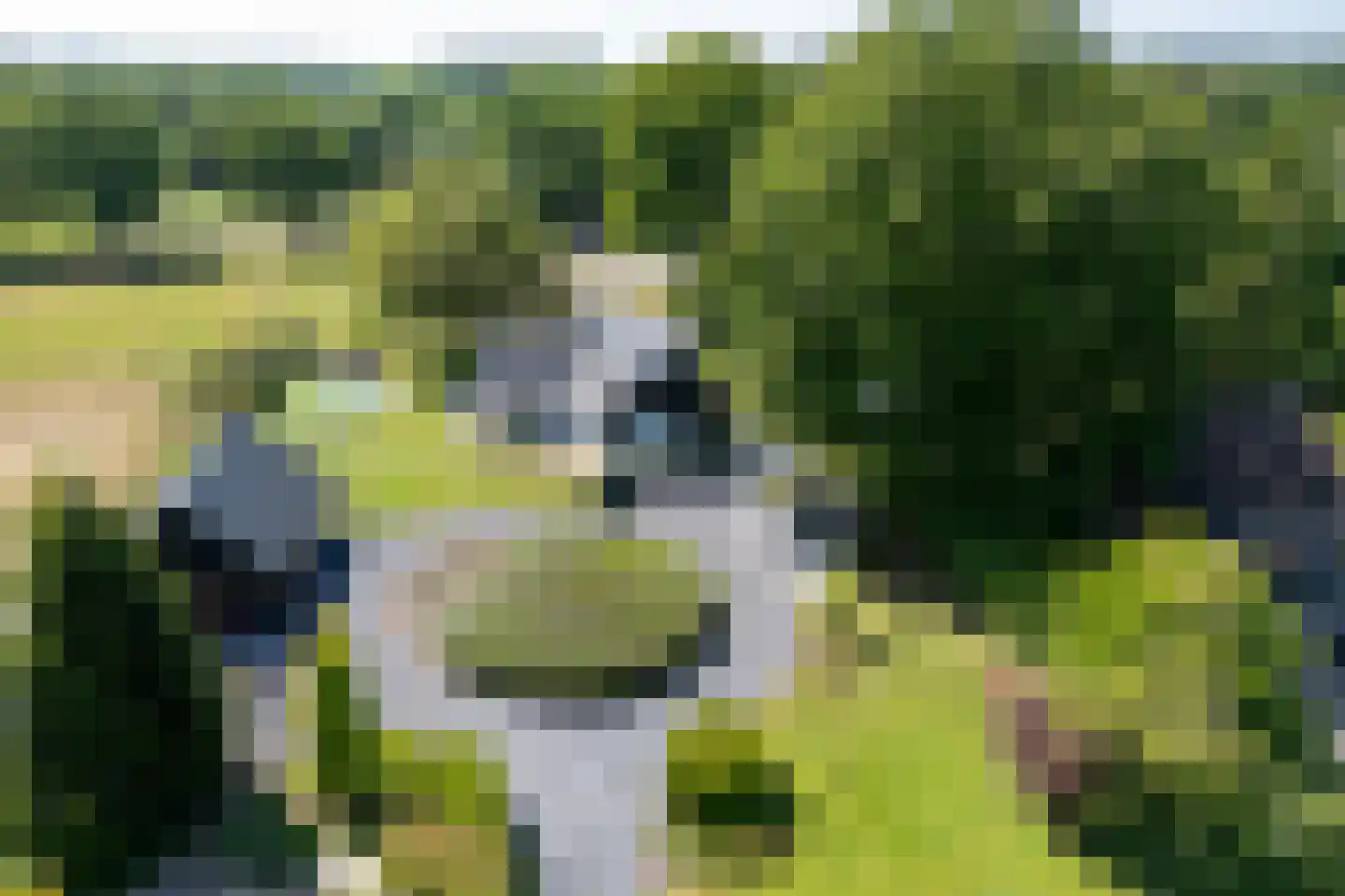 Hexelerweg 38 Nijverdal thumbnail 52