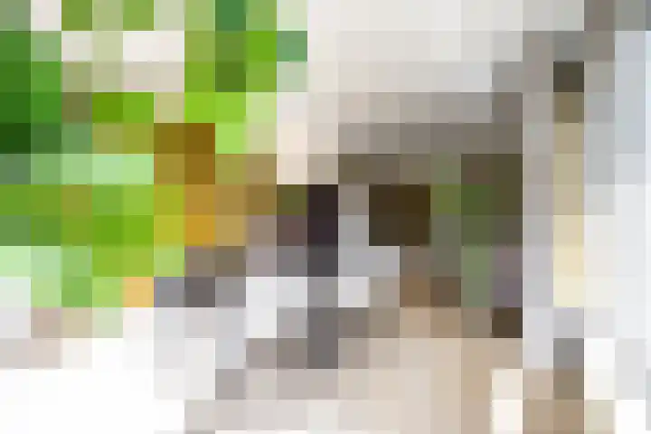 Hexelseweg 15 Wierden thumbnail 17