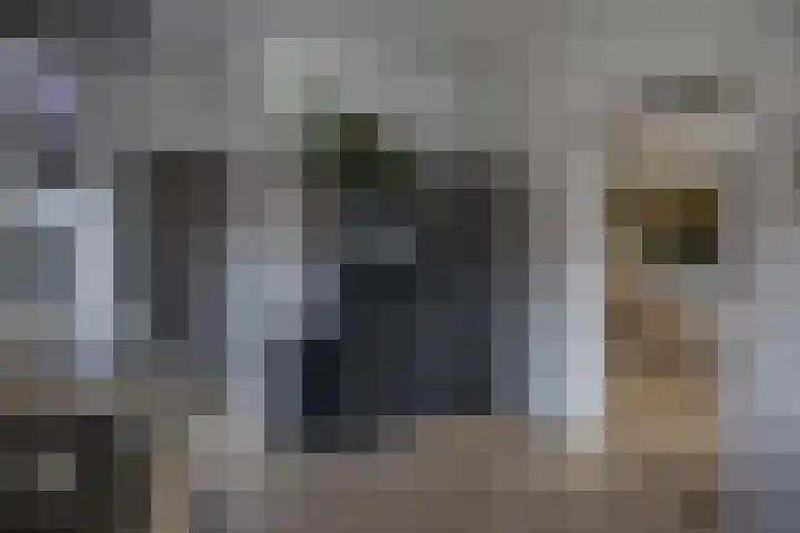 Hexelseweg 15 Wierden thumbnail 22