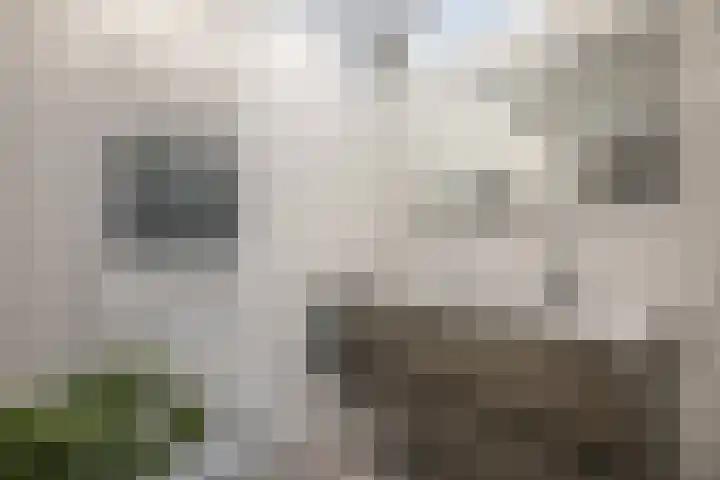 Hexelseweg 15 Wierden thumbnail 24
