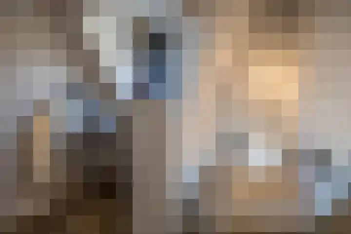 Hexelseweg 15 Wierden thumbnail 28