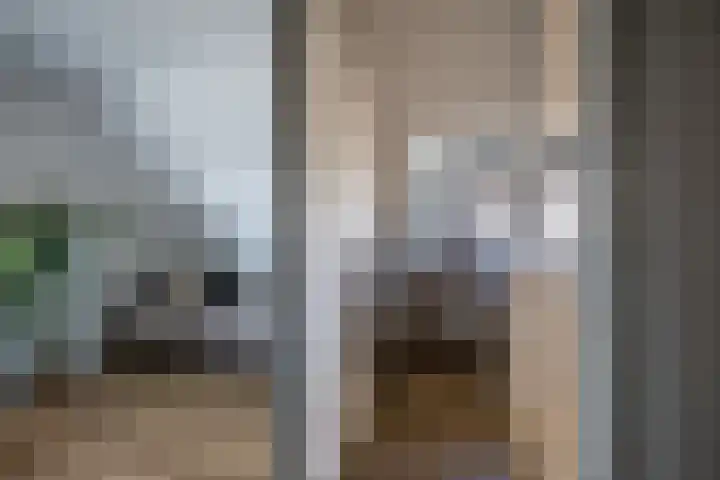 Hexelseweg 15 Wierden thumbnail 29