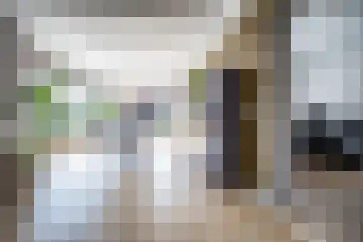 Hexelseweg 15 Wierden foto 3