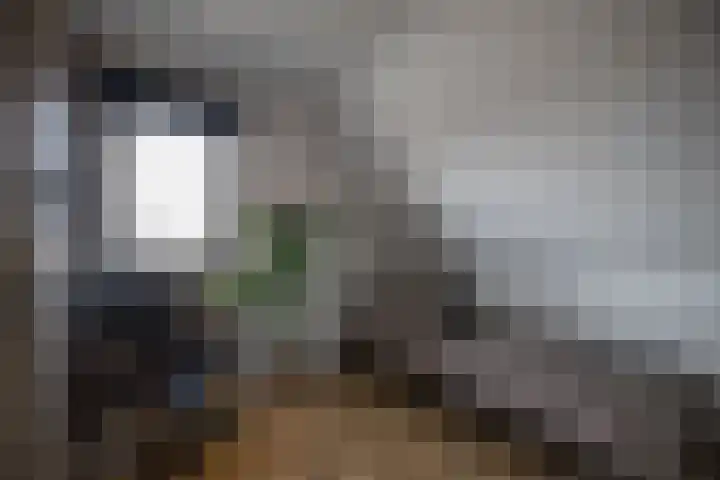 Hexelseweg 15 Wierden thumbnail 30