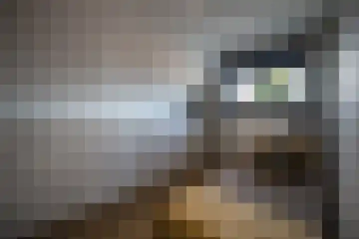 Hexelseweg 15 Wierden thumbnail 33