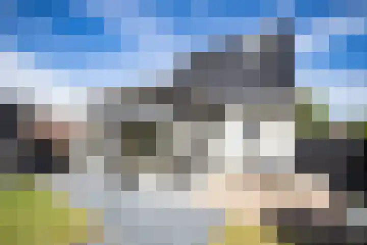 Hexelseweg 15 Wierden thumbnail 34