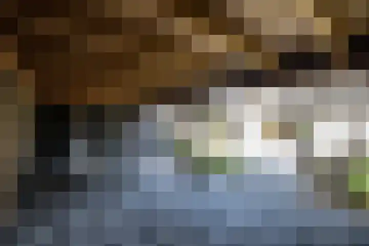 Hexelseweg 15 Wierden thumbnail 37
