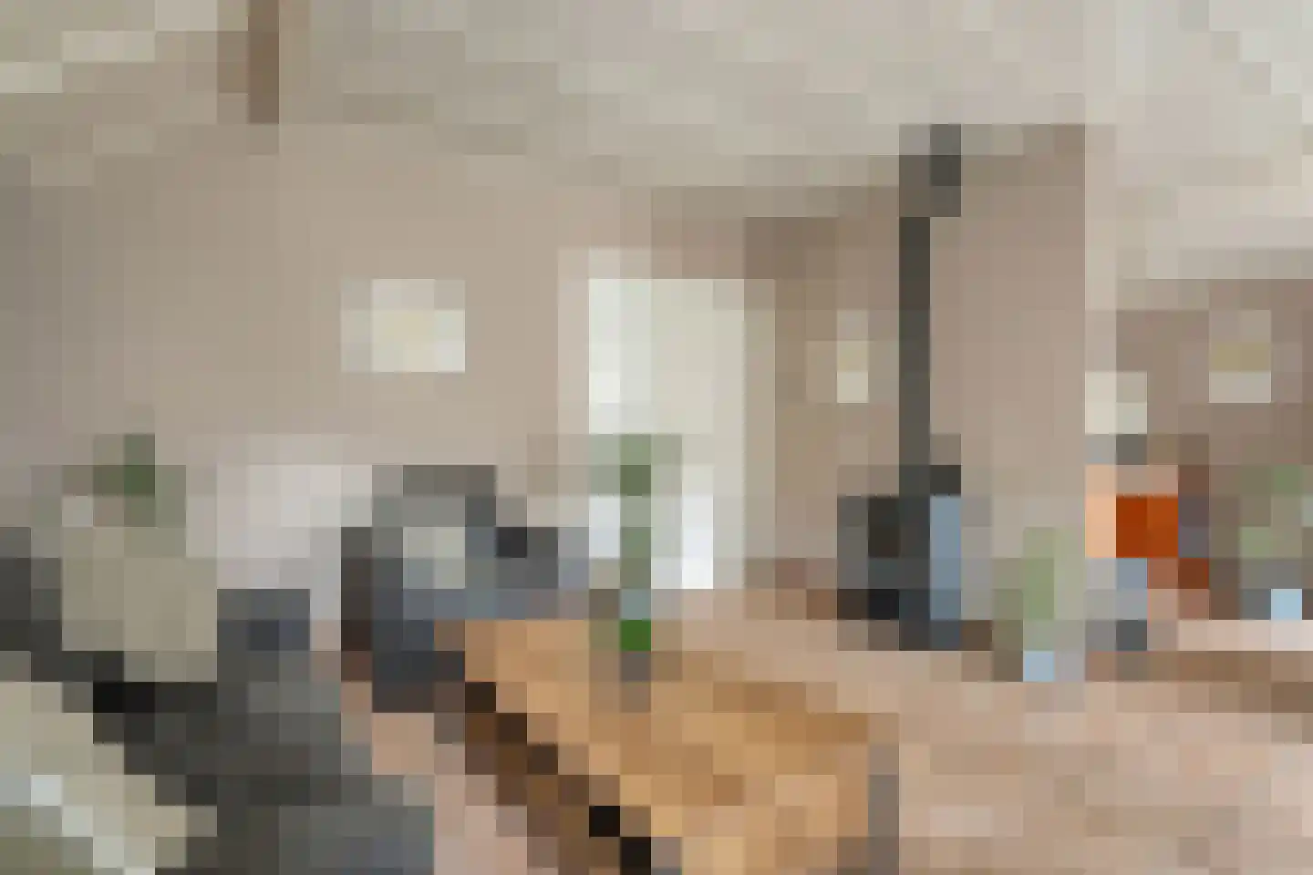Hexelseweg 150 Daarle thumbnail 11