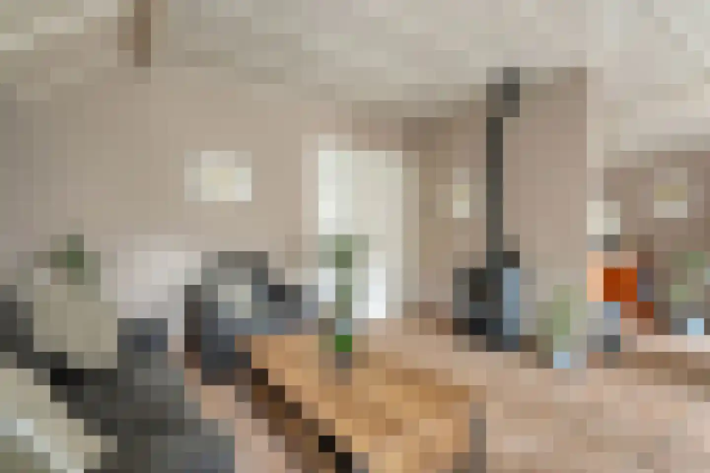 Hexelseweg 150 Daarle thumbnail 12