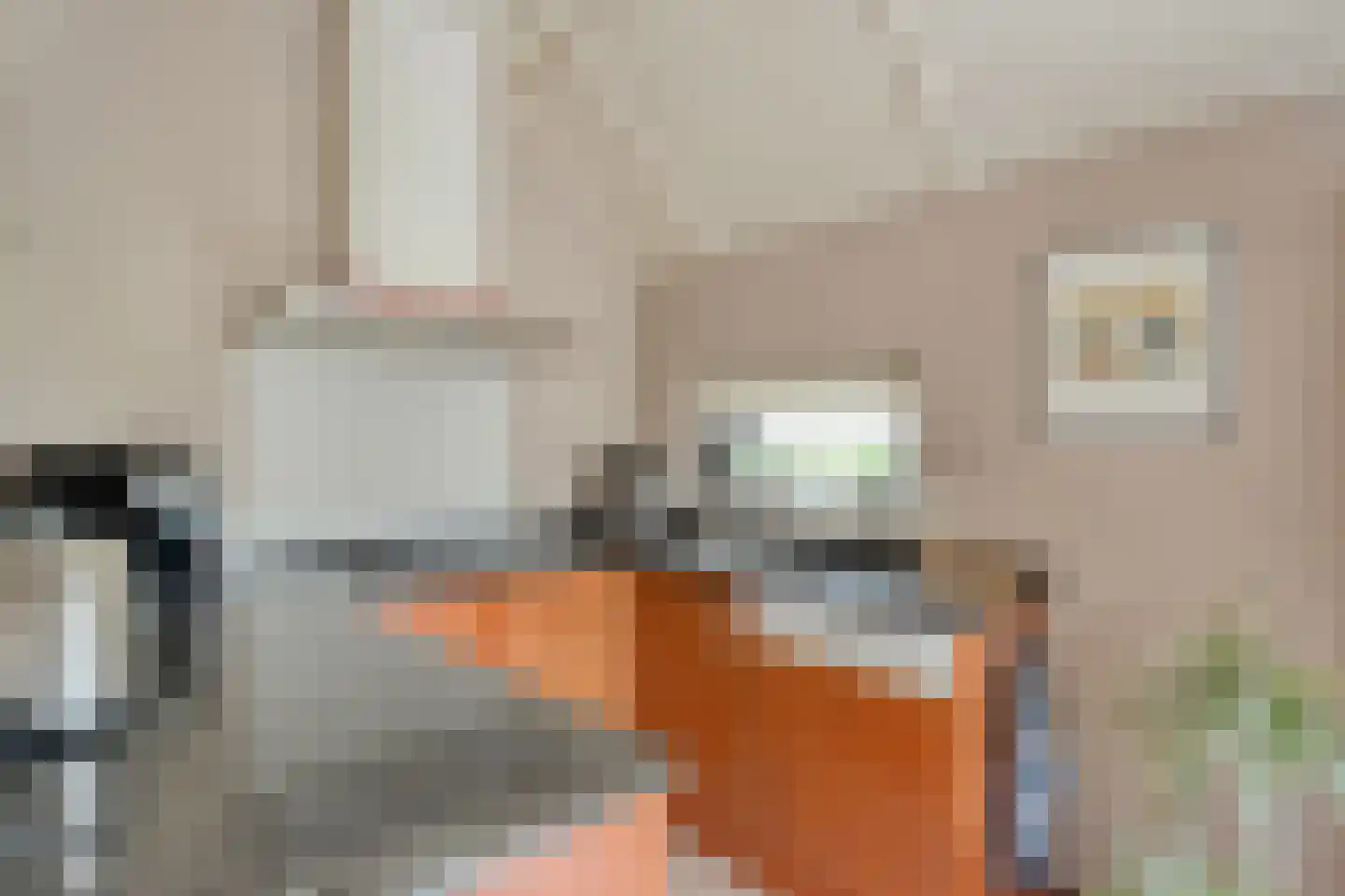 Hexelseweg 150 Daarle thumbnail 17
