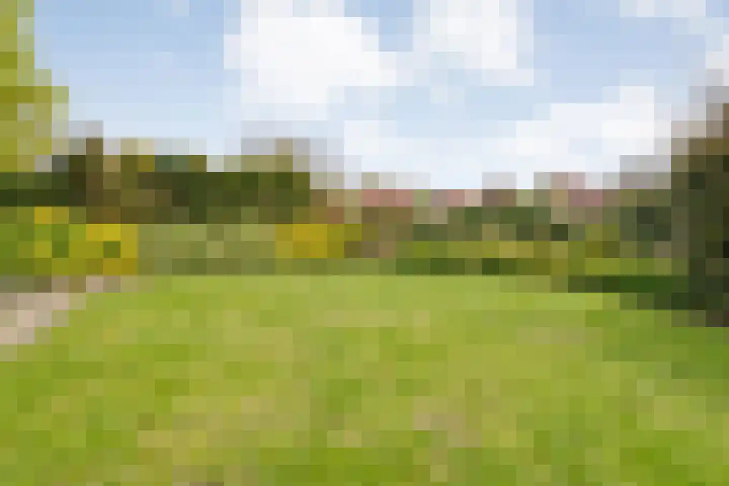 Hexelseweg 150 Daarle thumbnail 33
