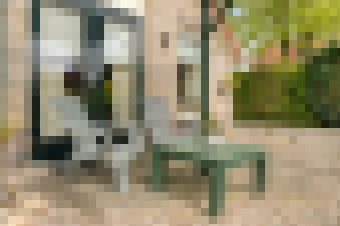 Hexelseweg 150 Daarle thumbnail 33