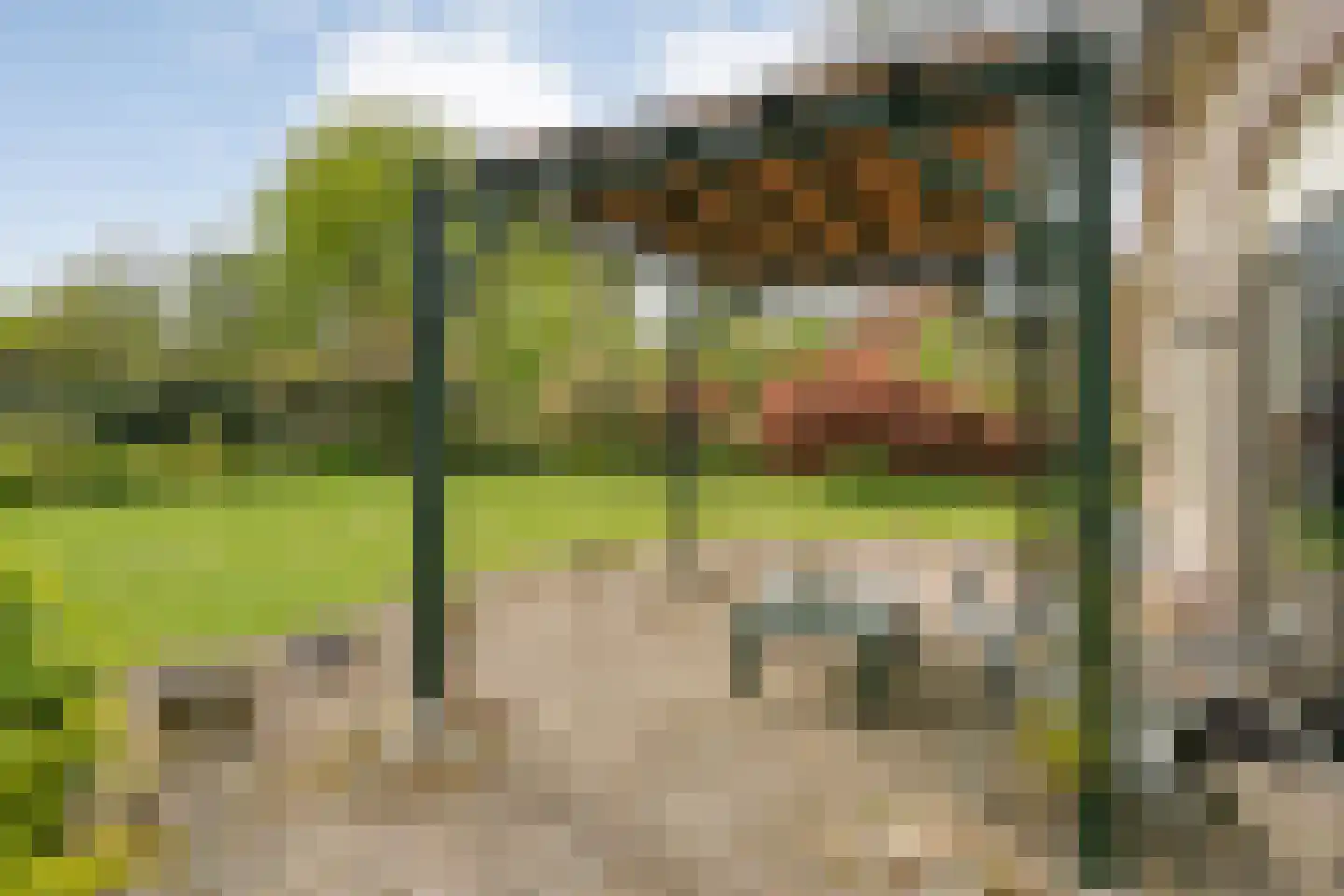 Hexelseweg 150 Daarle thumbnail 34
