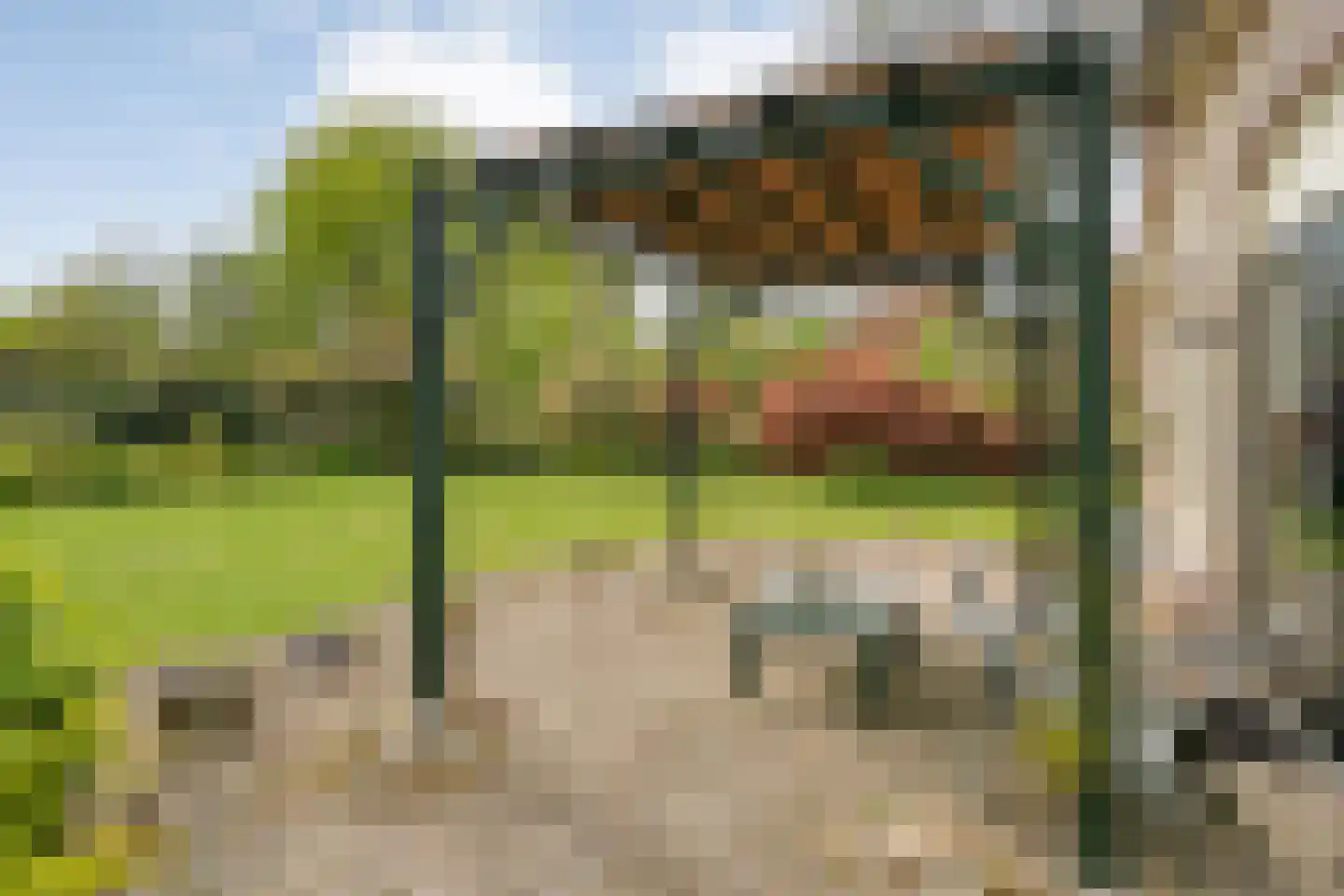 Hexelseweg 150 Daarle thumbnail 35