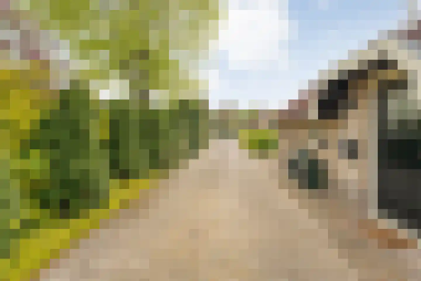 Hexelseweg 150 Daarle thumbnail 37