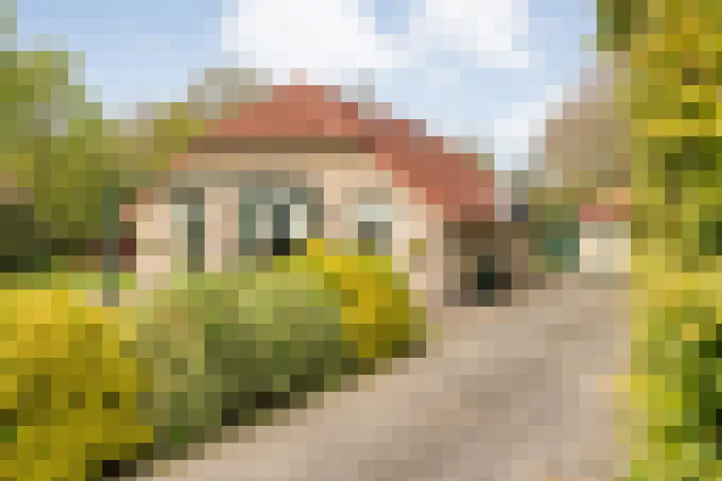 Hexelseweg 150 Daarle thumbnail 38