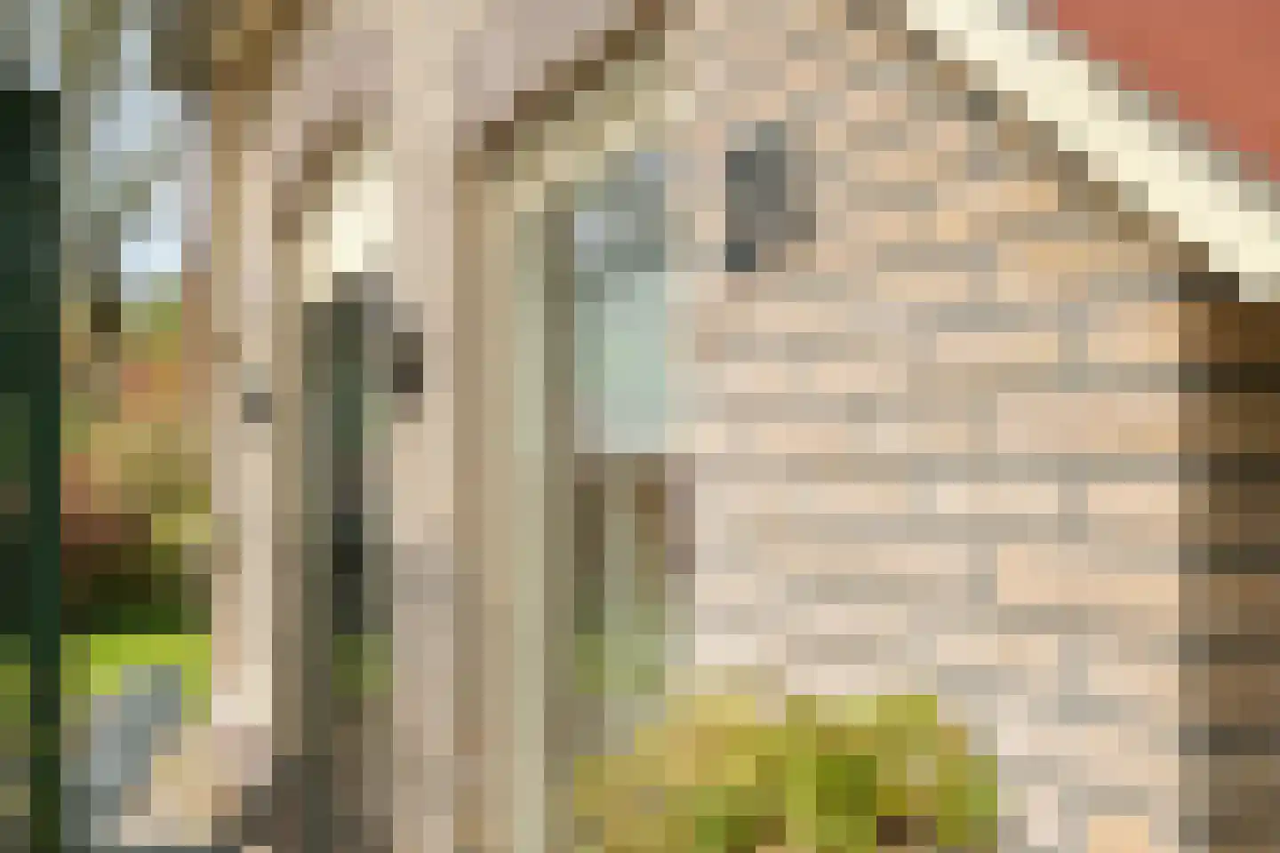 Hexelseweg 150 Daarle thumbnail 4