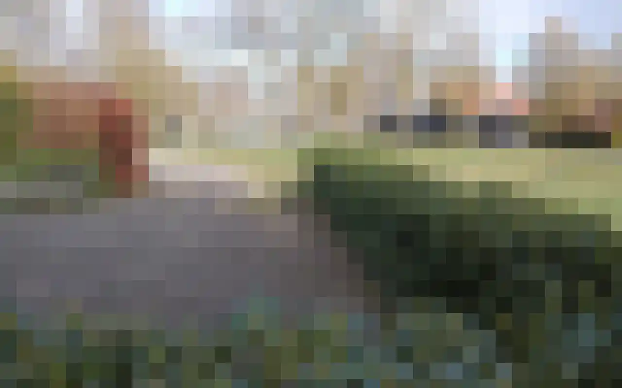 Hexelseweg 150 Daarle thumbnail 41