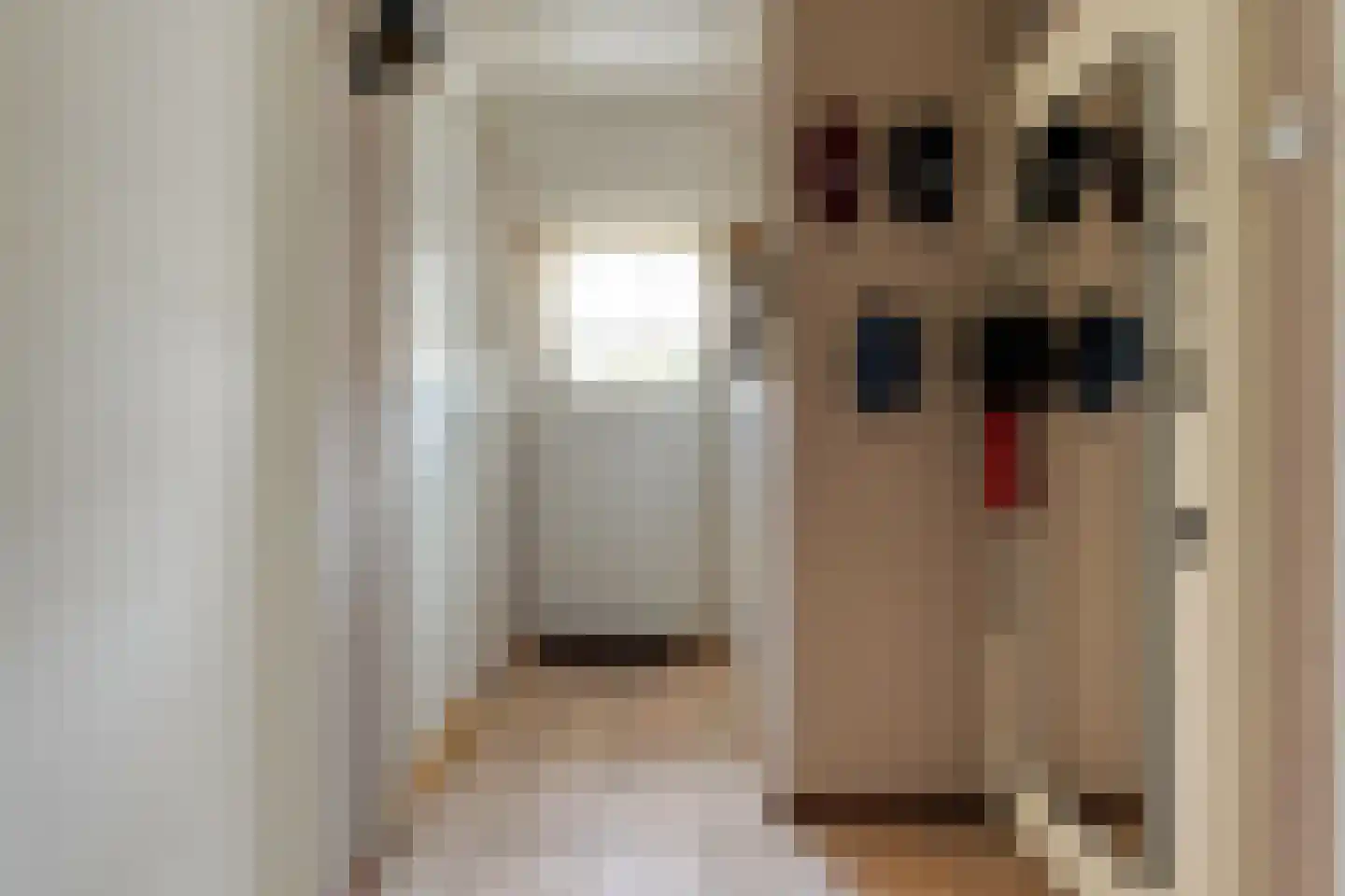 Hexelseweg 150 Daarle thumbnail 6