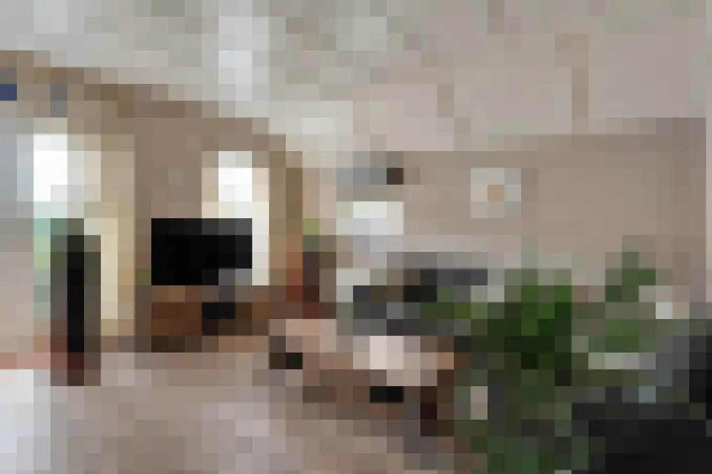 Hexelseweg 150 Daarle thumbnail 9