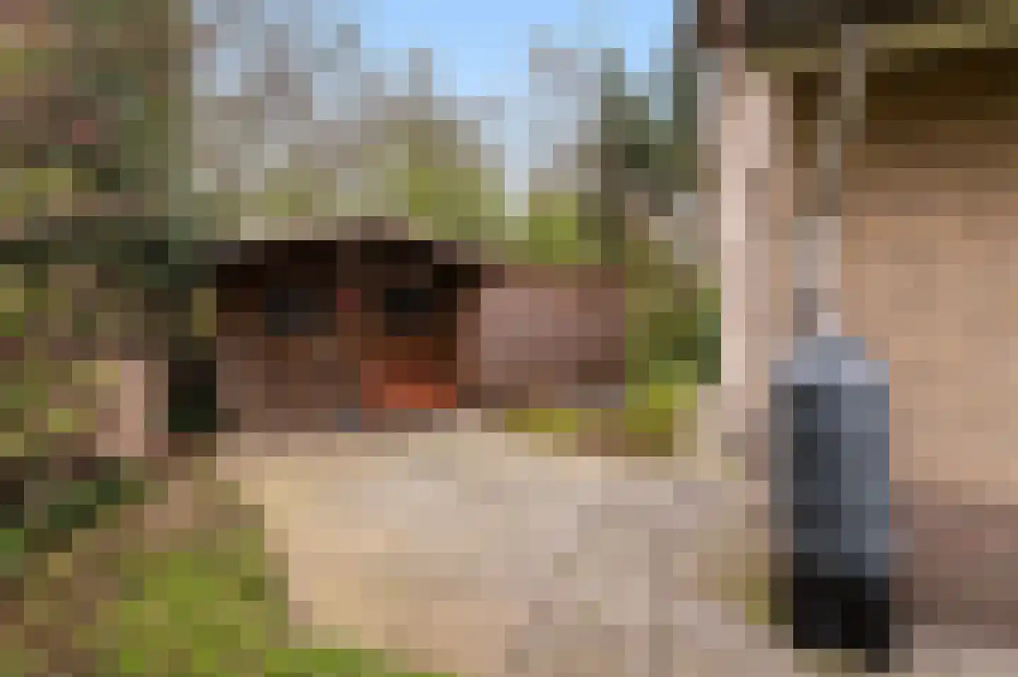 Hexelseweg 156 Daarle thumbnail 39