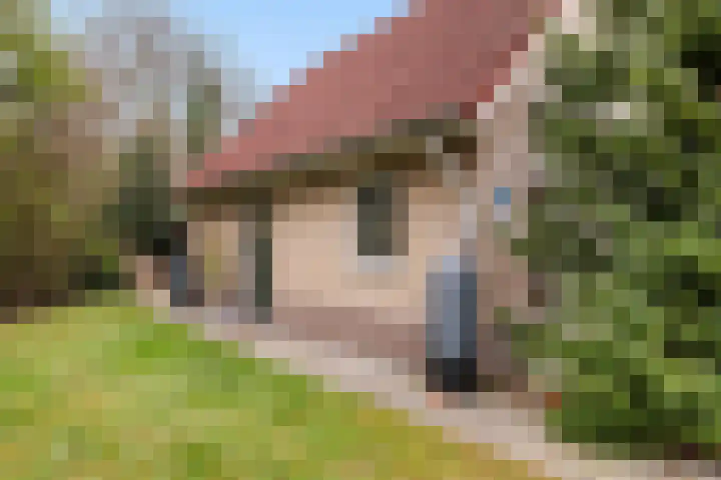 Hexelseweg 156 Daarle thumbnail 42