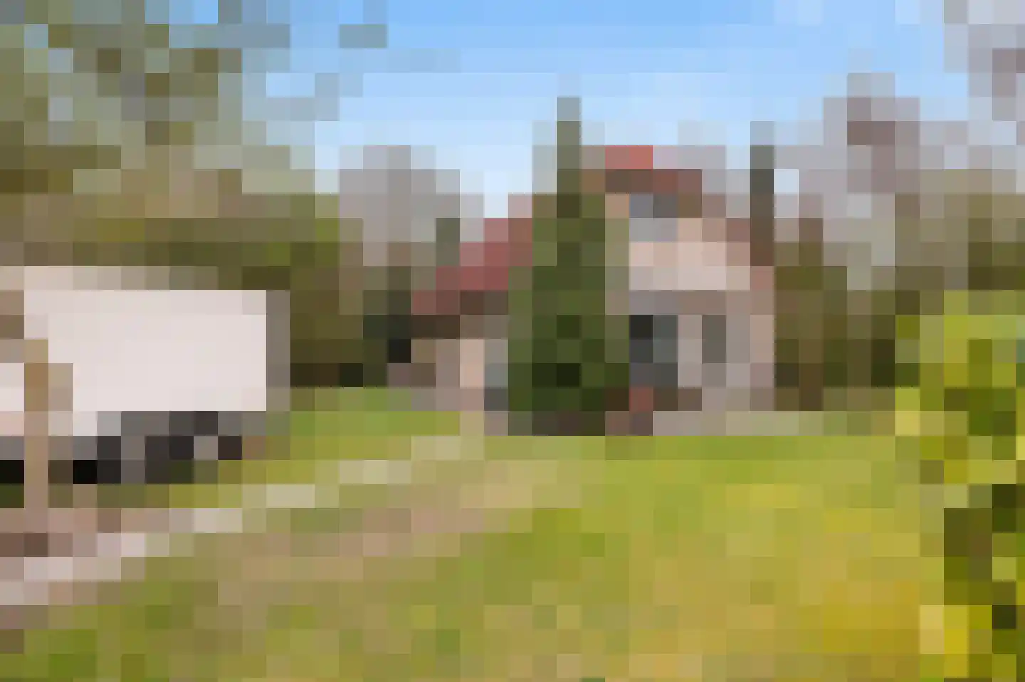 Hexelseweg 156 Daarle thumbnail 44