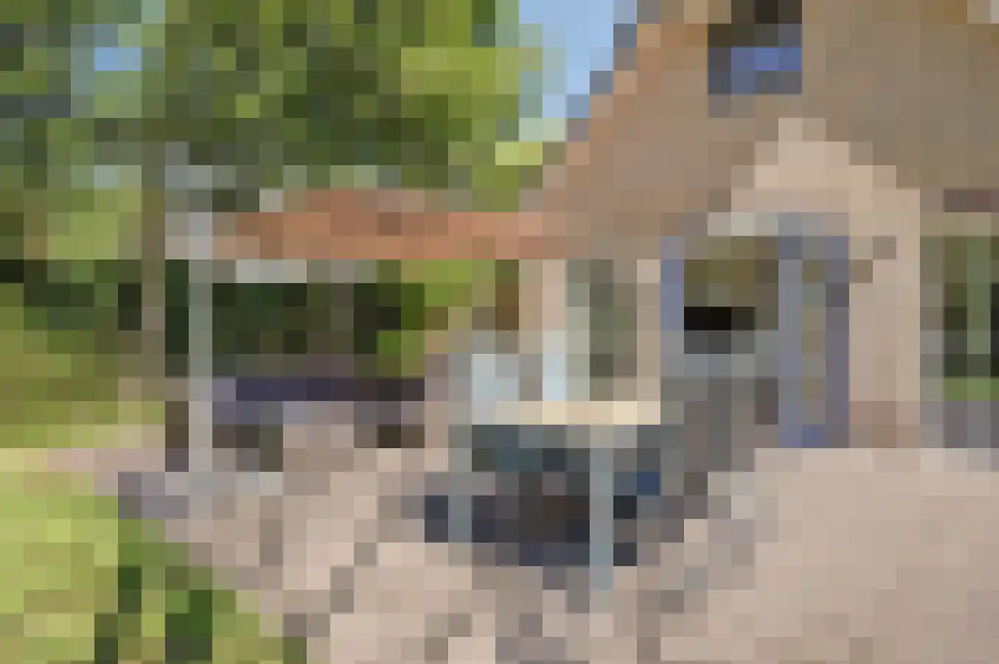 Hexelseweg 170 Daarle thumbnail 29
