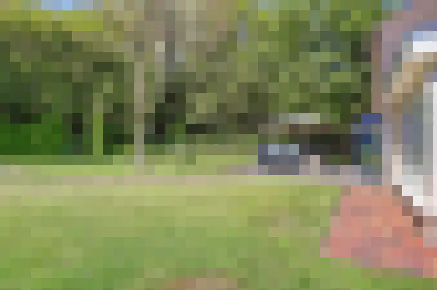 Hexelseweg 170 Daarle thumbnail 30