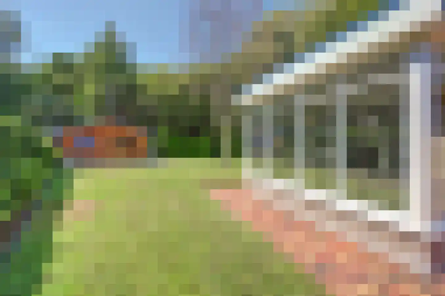 Hexelseweg 170 Daarle thumbnail 31