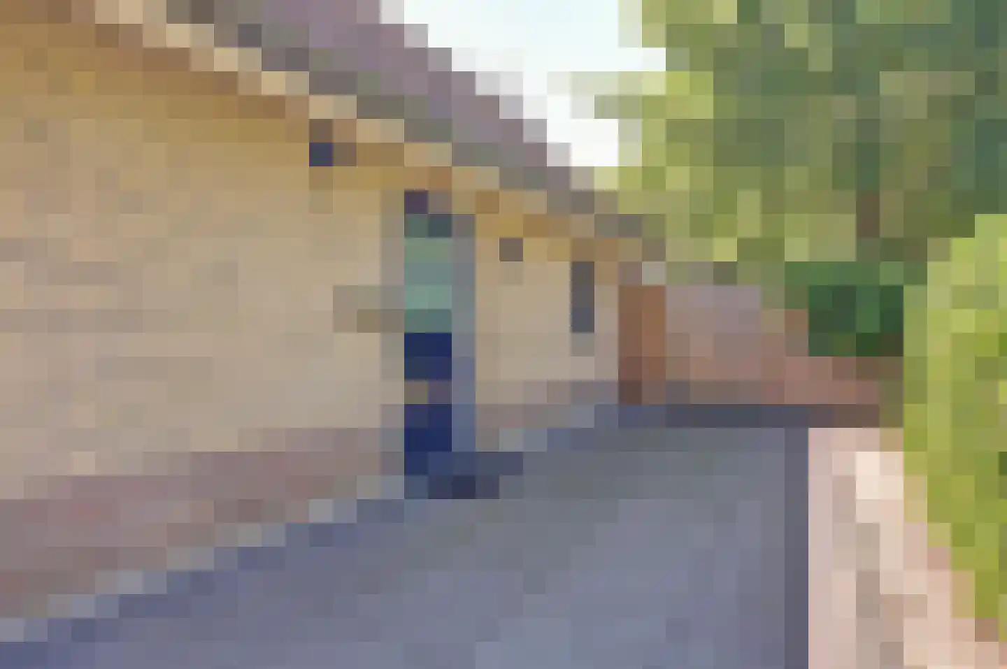 Hexelseweg 170 Daarle thumbnail 6